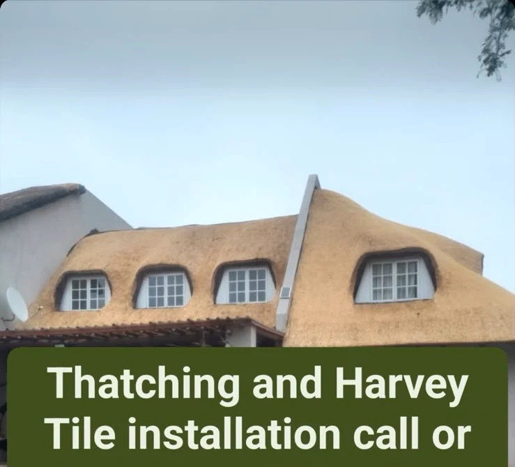 Thatched house roof from the supplied project image